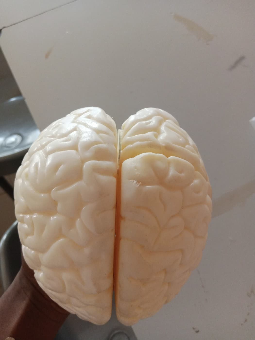 Quiz Cover